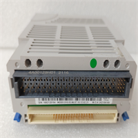 1C31194G03